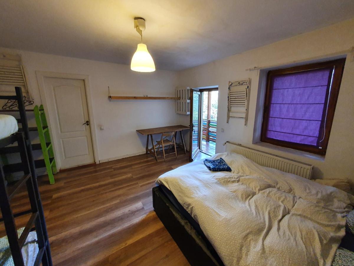 Zen Hostel Kaloşvar Dış mekan fotoğraf
