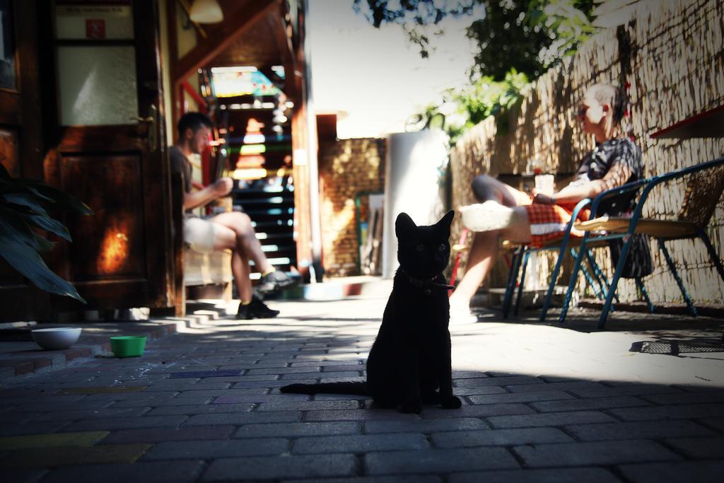 Zen Hostel Kaloşvar Dış mekan fotoğraf
